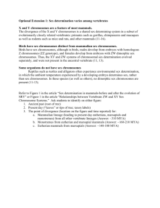 Supplemental File S6. Homologous Chromosomes