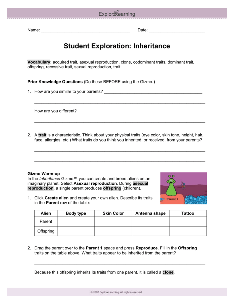 Student Exploration: Digestive System Answers : Digestive ...