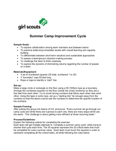 Summer Camp Improvement Cycle DOC