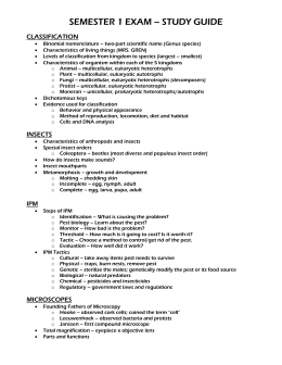 Biological Classification Worksheet Five