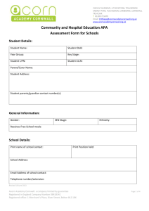 CHES APA Assessment Form For Schools