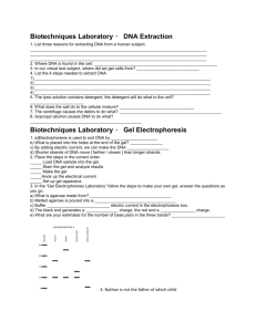 Biotechniques Websheet