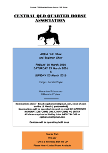 SUNDAY 20 March 2016 - Central Queensland Quarter Horse