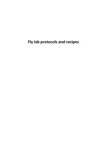 Fly lab protocols and recipes