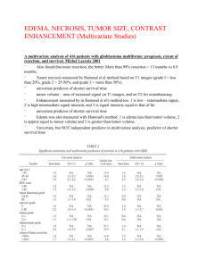 Edema, Necrosis, Size, CE - CCI-LONI