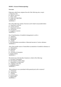 Modul 1 General pathomorphology