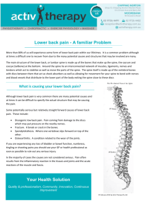 a FREE Lower Back Pain Information Sheet