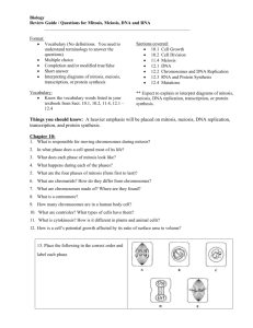 Review Sheet Mitosis, Meiosis, DNA and RNA