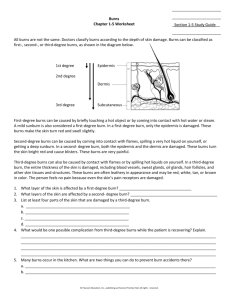 First Aid Worksheet: BURNS, POISONS, COLD WEATHER