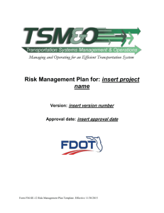 Risk Management Plan Template