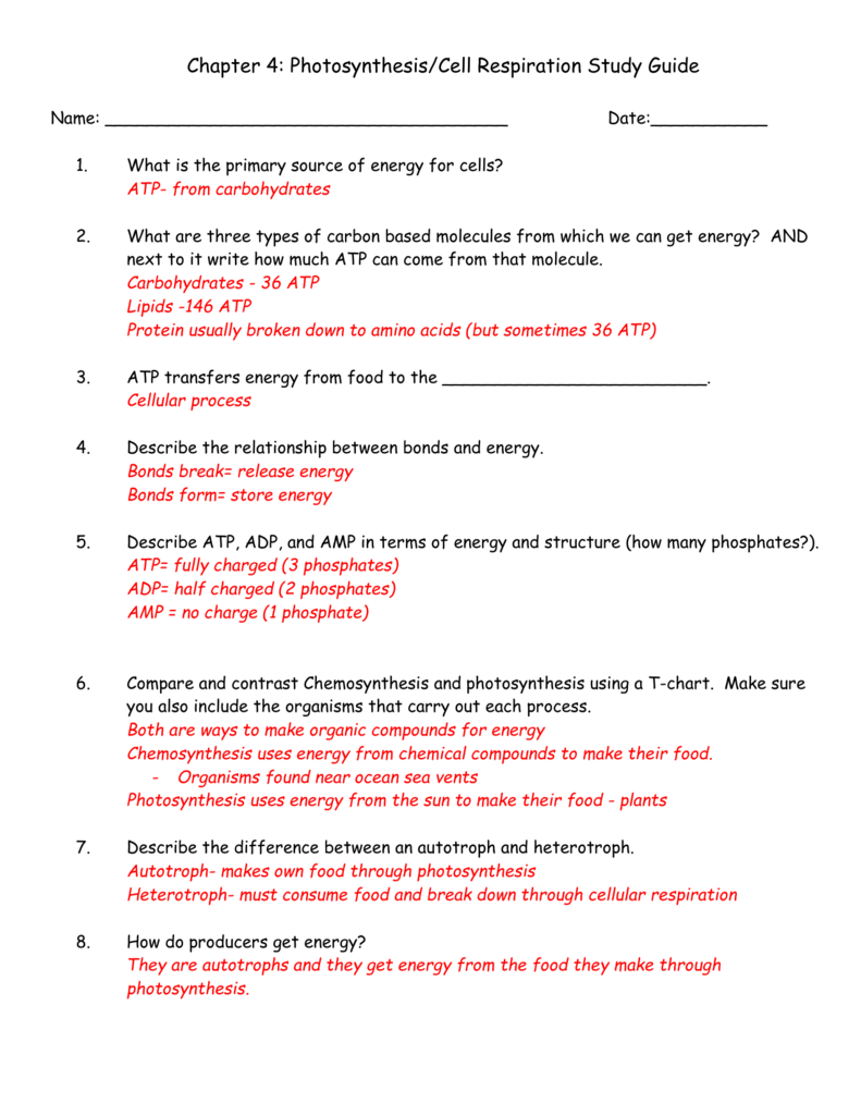 Chapter 4 Photosynthesis Cell Respiration Study Guide Name Chapter 4 Photosynthesis Cell Respiration Study Guide Name