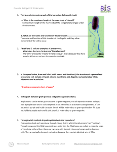 0.2.2 Prokaryotes worksheet