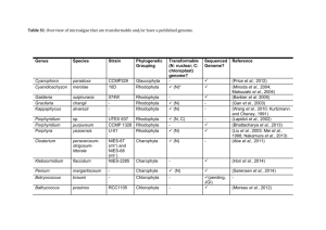 Table S1. Overview of microalgae that are transformable and