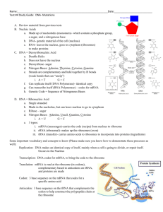 Name: : Test #4 Study Guide: DNA- Mutations Review material from