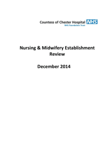 Nursing & Midwifery Establishment Review December 2014