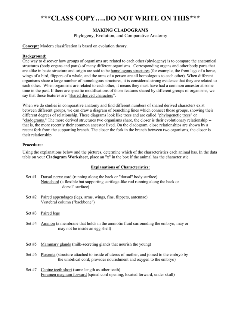 Making Cladograms Background And Procedures Answer Key