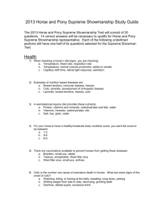 2012 Horse and Pony Supreme Showmanship Study Guide