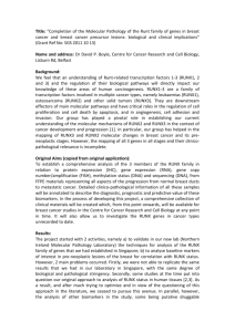 Completion of the Molecular Pathology of the Runt family of genes in