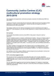 CJC multicultural promotion strategy