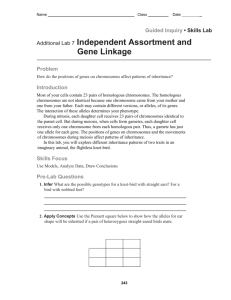 Independent Assortment & Gene Linkage