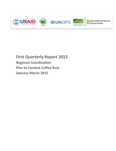 First Quarterly Report 2015