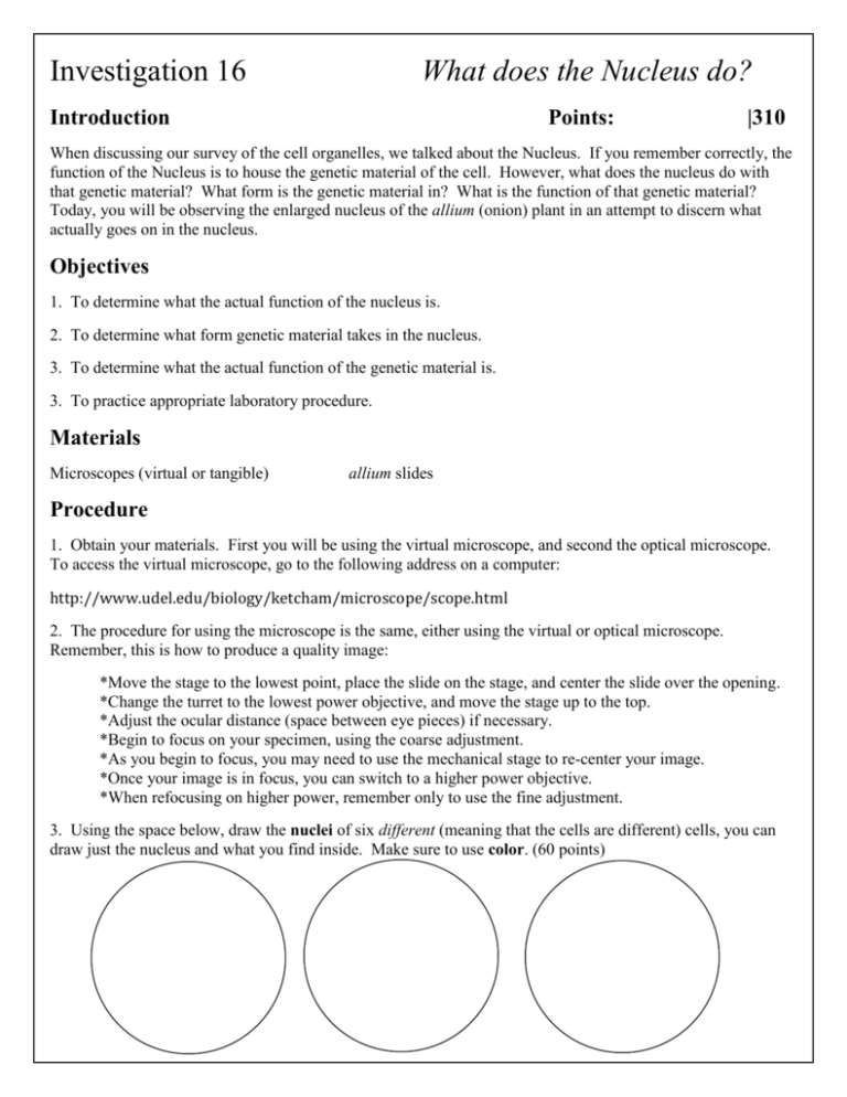 what-does-the-nucleus-do-introduction-points