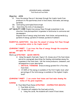 Student Worksheet Food Chains And Webs Creating Chains And