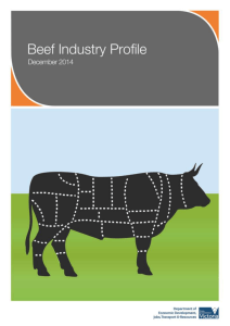 Victoria`s Beef Cattle Industry