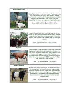 Livestock breeds