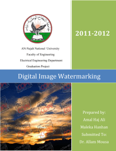 Digital Image Watermarking - An