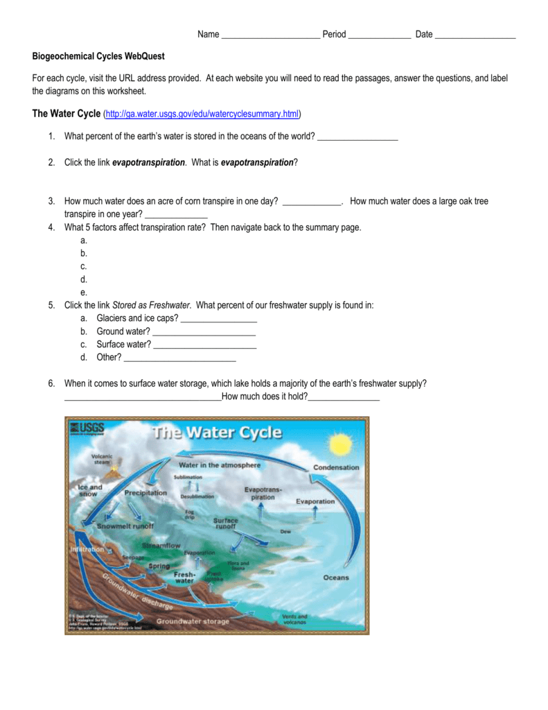 Nutrient Cycles Worksheet Answers