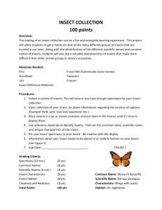 7th Grade Insect Collection Due Sept. 13th