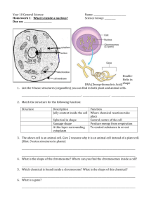 Year 10 General Science Name: Homework 1: What is inside a