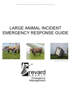 Large Animal Incident Emergency Response Guide
