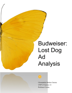 Budweiser: Lost Dog Ad Analysis