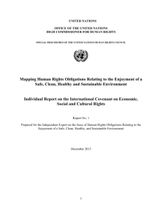 Individual Report on the International Covenant on Economic, Social