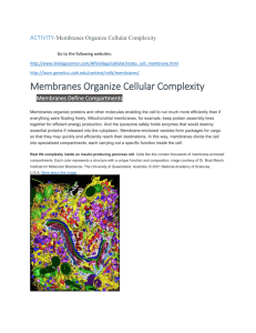 Membranes Organize Cellular Complexity