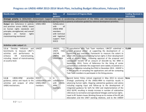 UNDG-HRM Work Plan Results Reporting and Budget 2013