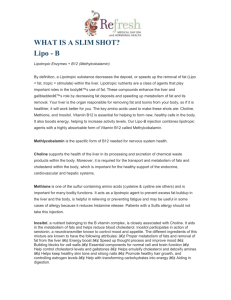 Slim Shot Info Sheet