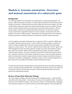 Overview and manual annotation of a eukaryotic gene
