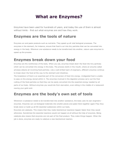 What are Enzymes?