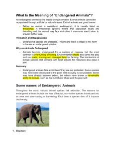 What Is the Meaning of "Endangered Animals"?