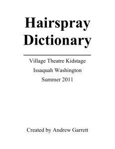 HairsprayDictionary
