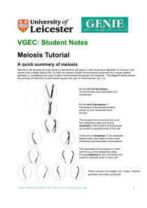VGEC: Student Notes