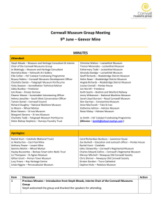 CMG Meeting Minutes June 2015 - Cornwall Museums Partnership