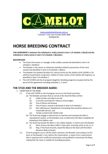 horse breeding contract