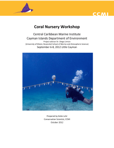 Coral outplanting workshop