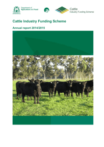 Cattle Industry Funding Scheme 2014/15 Annual Report