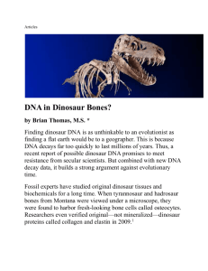 DNA in Dinosaur Bones?