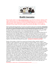 Health Guarantee Limited – click to